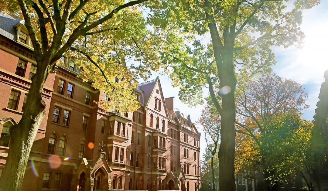 20200807_115519_034.jpg